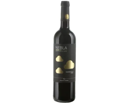 Ribera del Duero DO Tempranillo Roble Nebla Vicente Gandia (2023) – Rotwein, Spanien (0.75l)