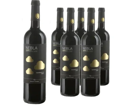 Ribera del Duero DO Tempranillo Roble Nebla Vicente Gandia 6x 75cl (2023) – Rotwein, Spanien (0.75l)