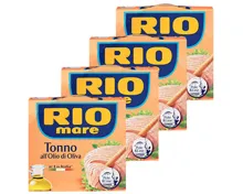 Rio mare Thunfisch in Olivenöl 4x104g