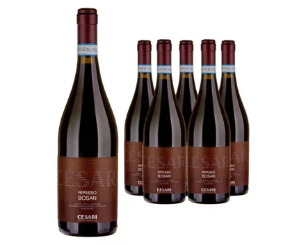 Ripasso della Valpolicella Superiore DOC Bosan Cesari 6x 75cl (2020) – Rotwein, Italien (0.75l)