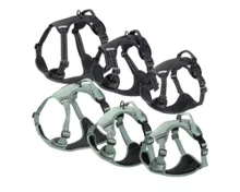 ROMEO Herbst Hundegeschirr