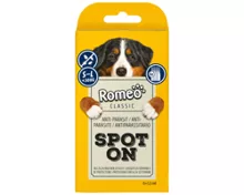 ROMEO Spot On Hunde