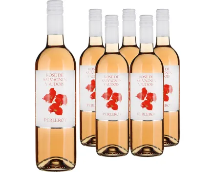 Rosé de Salvagnin Vaudois Perleroy 6x 75cl (2024) – Roséwein, Schweiz (0.75l)