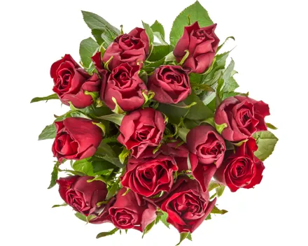 Rosen