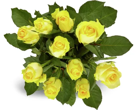 Rosen Grande, Fairtrade