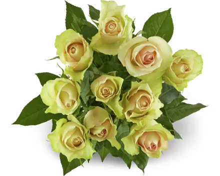 Rosen Grande, Fairtrade