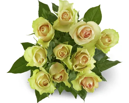 Rosen Grande, Fairtrade