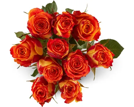 Rosen Grande, Fairtrade