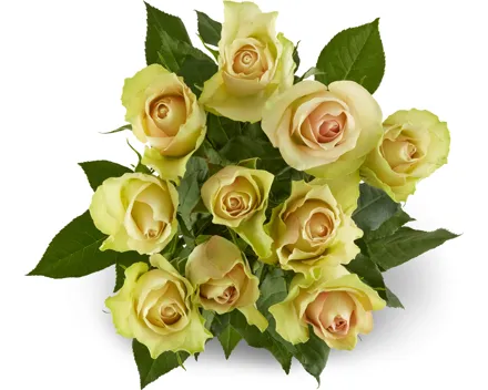 Rosen Grande, Fairtrade