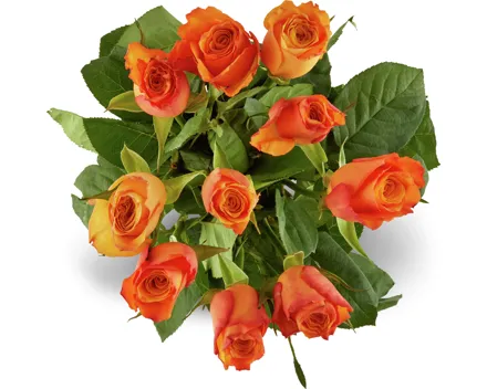 Rosen Grande, Fairtrade