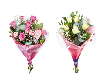 Rosen-Nelken-Strauss