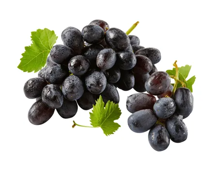 Rote kernlose Trauben