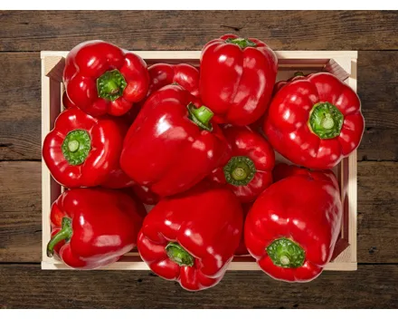 Rote Peperoni XXL