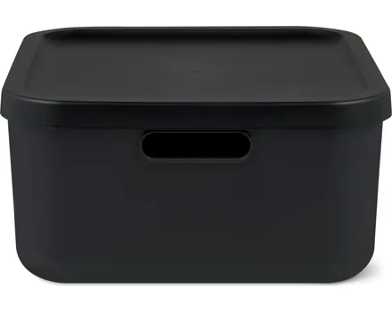 Rotho Albula Aufbewahrungsbox
