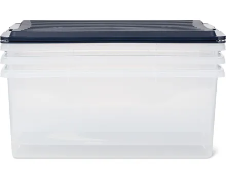 Rotho Aufbewahrungsbox Compact, 3er-Set
