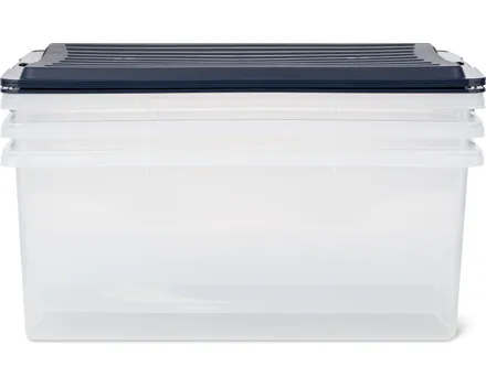 Rotho Aufbewahrungsbox Compact, 3er-Set