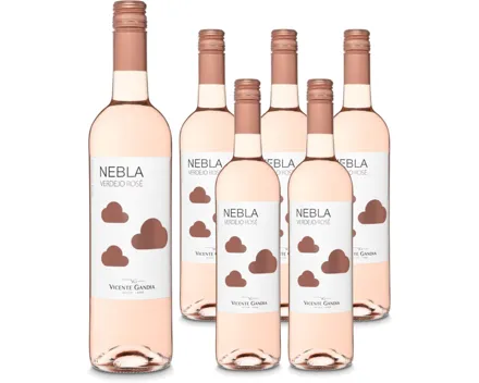 Rueda DO Verdejo Nebla Rose Vicente Gandía 6x 75cl (2025) – Roséwein, Spanien (0.75l)