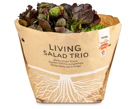 Salat mit Wurzel dreierlei 1 Stück