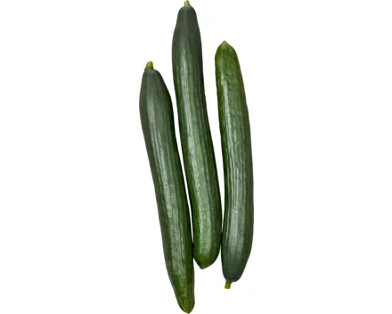 Salatgurke