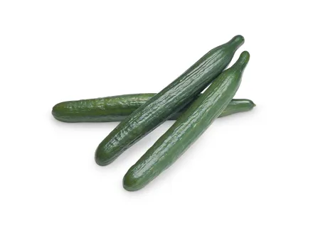 Salatgurken