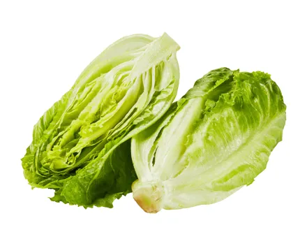 Salatherzen Little Gem