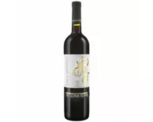 Salice Salentino DOP Rosso Vecchia Torre