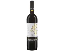 Salice Salentino DOP Rosso Vecchia Torre