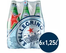 San Pellegrino mit Kohlensäure 6x1.25l