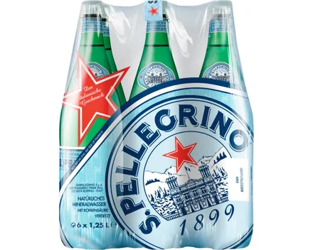 San Pellegrino Wasser mit Kohlensäure 6 x 1,25 l