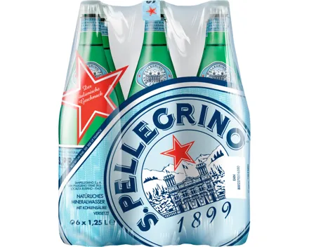 San Pellegrino Wasser mit Kohlensäure 6 x 1,25 l