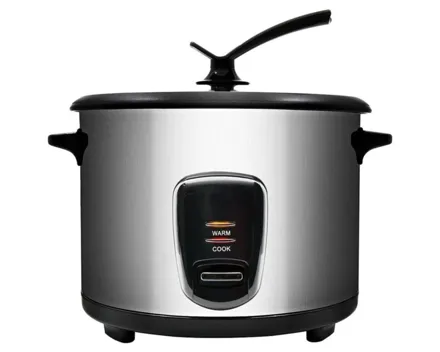 Satrap Asia XA Reiskocher