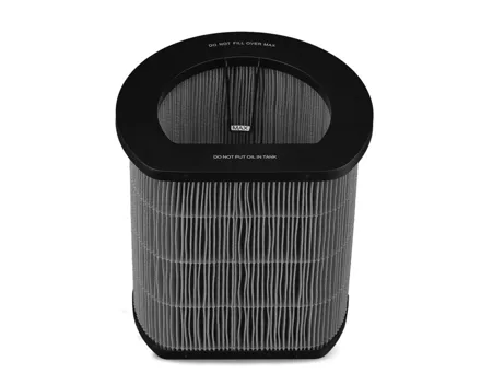 Satrap Wasserfilter Flims