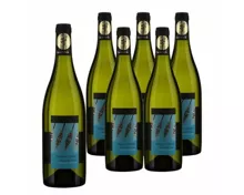 Sauvignon Blanc Marlborough New Zealand Paddle Creek 6x 75cl