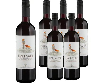 Schaffhausen AOC Hallauer Blauburgunder Weinkeller zum Stauffacher 6x 75cl (2025) – Rotwein, Schweiz (0.75l)