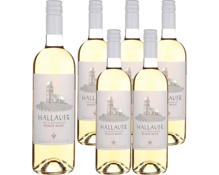 Schaffhausen AOC Hallauer Pinot Noir Rosé 6x 75cl (2025) – Roséwein, Schweiz (0.75l)