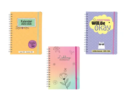 Schüler-/Erwachsenenkalender (Aktion nur in der Deutschschweiz gültig)
