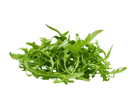 Schweizer Bio Rucola
