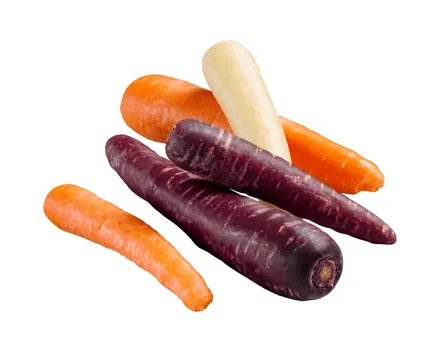 Schweizer Bio Rüebli Mix