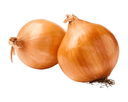 Schweizer Bio Zwiebeln gelb