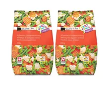Schweizer Gemüsemischung 2x 600g