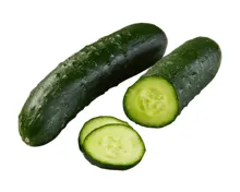 Schweizer Gurke Nostrano