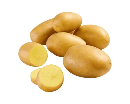 Schweizer Kartoffeln festkochend