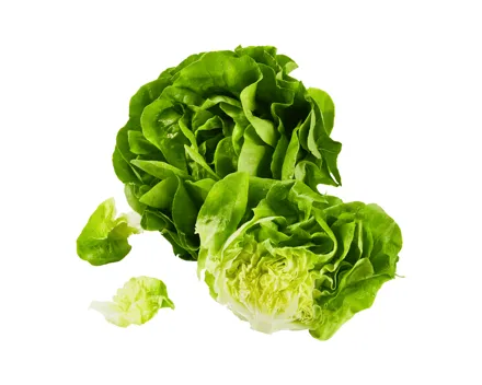 Schweizer Kopfsalat