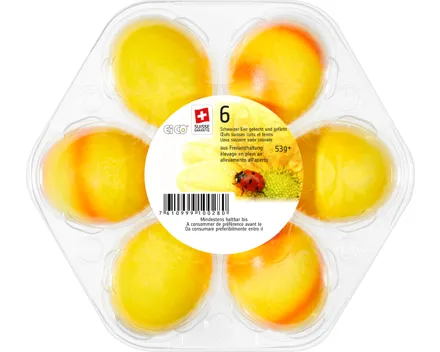 Schweizer Picknick-Eier
