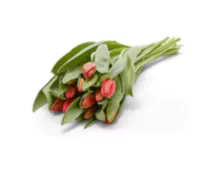 Schweizer Tulpen, 11 Stück, verschiedene Farben, pro Strauss