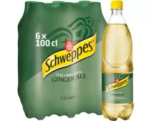 Schweppes Ginger Ale 6x100cl