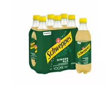 Schweppes Ginger Ale 6x50cl