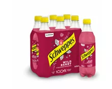 Schweppes Wild Berry 6x50cl