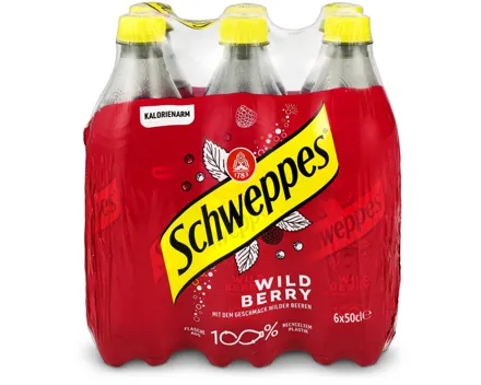 Schweppes Wild Berry 6x50cl