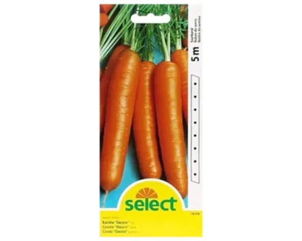 Select Karotte Decora Saatband